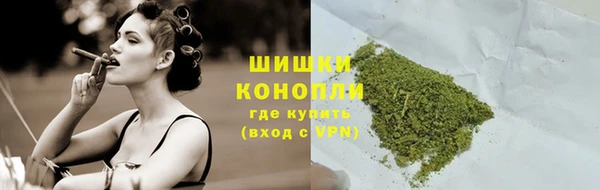стаф Мегион