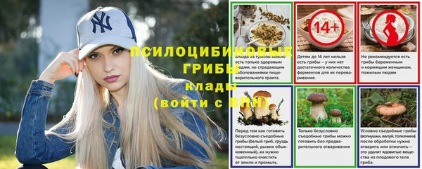гидра Медвежьегорск