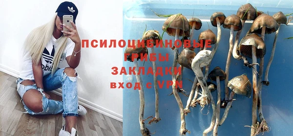 альфа пвп Михайловск