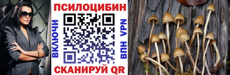 Галлюциногенные грибы мицелий  магазин    omg ссылки  Киров 