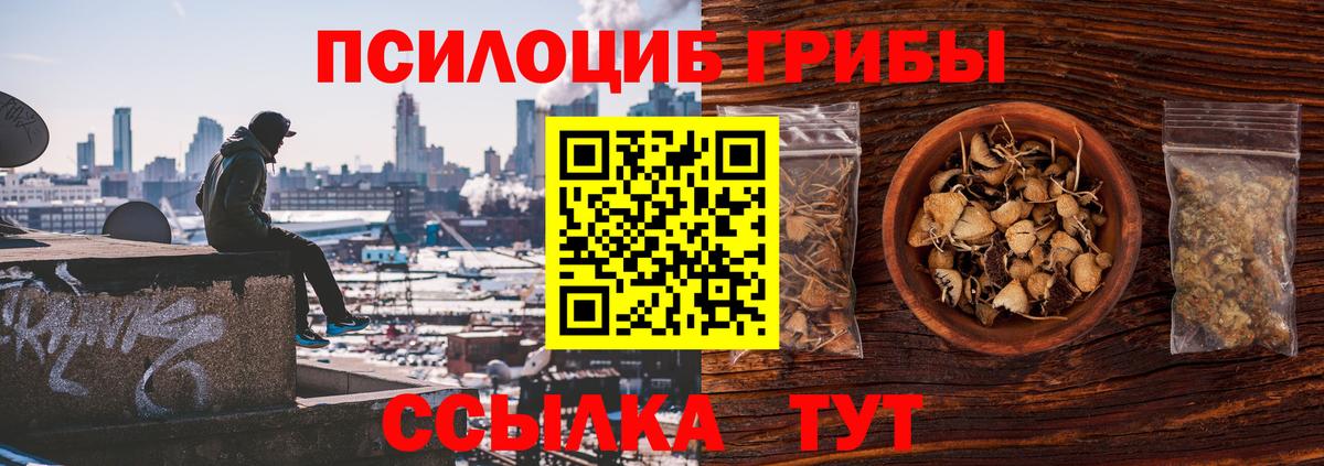 Галлюциногенные грибы GOLDEN TEACHER  Псилоцибиновые грибы Psilocybine cubensis  Киров 