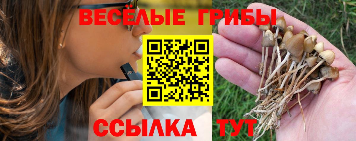 Alpha PVP Киров