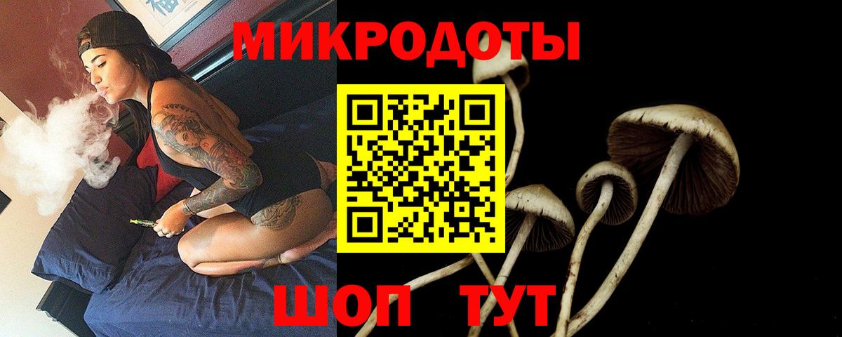 Псилоцибиновые грибы Psilocybe  Вход с VPN  Киров 